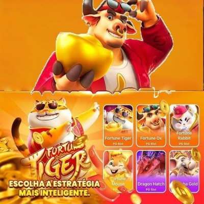 Casas de apostas bet