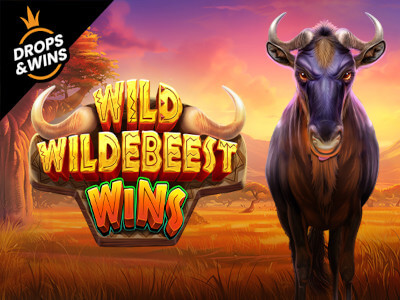 Ibest login